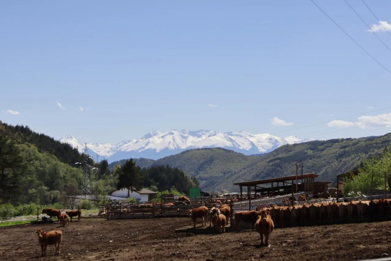 Pirin Place Bansko 0*,